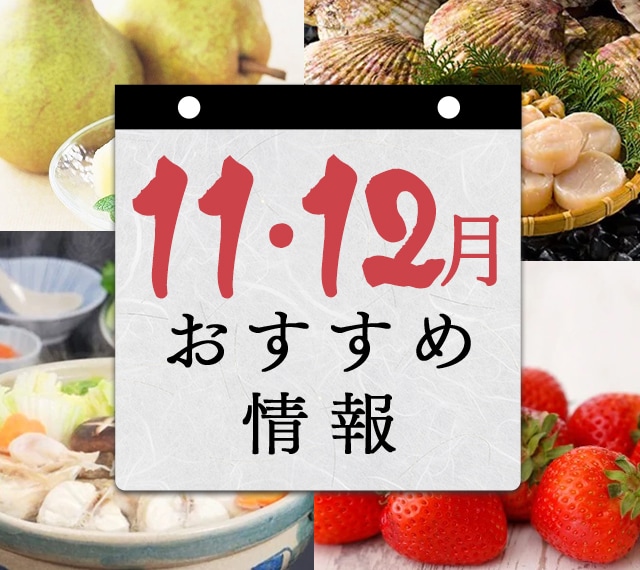 11月・12月 おすすめ情報