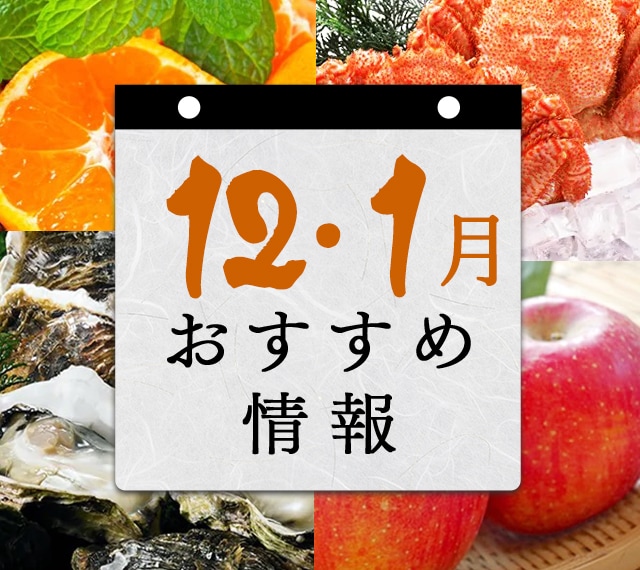 12月・1月 おすすめ情報