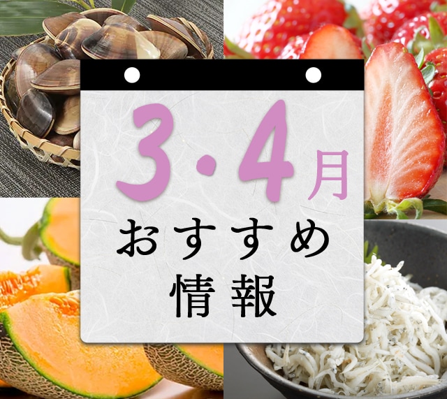 3月・4月 おすすめ情報