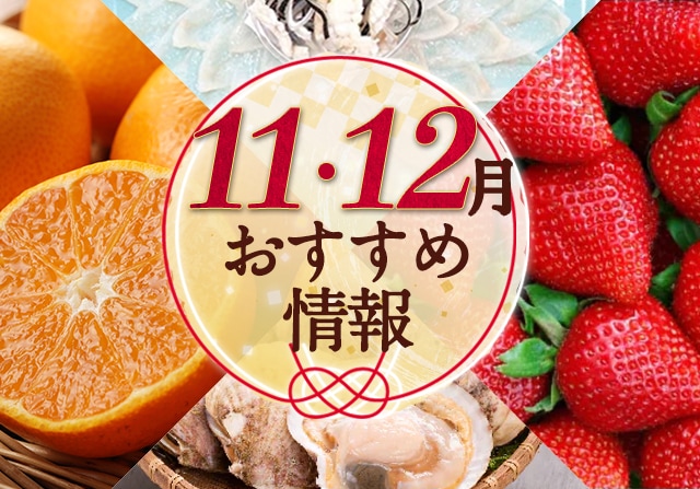 11月・12月 おすすめ情報