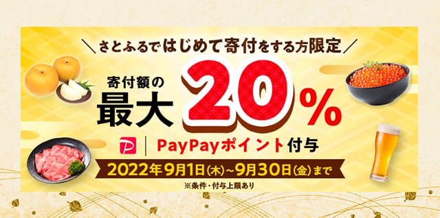 はじめてのさとふるキャンペーン