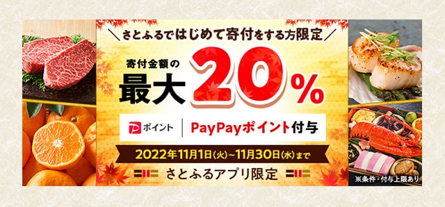 はじめてのさとふるキャンペーン