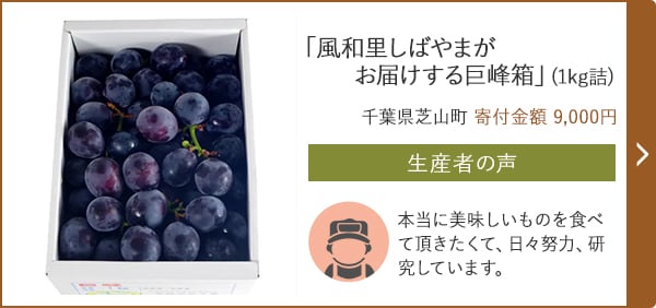 「風和里しばやまがお届けする巨峰箱」(1kg詰)/千葉県芝山町（寄付金額 9,000円）