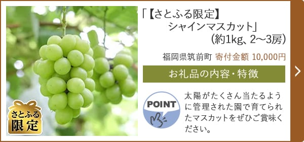 「【さとふる限定】シャインマスカット」(約1kg、2～3房)/福岡県筑前町（寄付金額 10,000円）