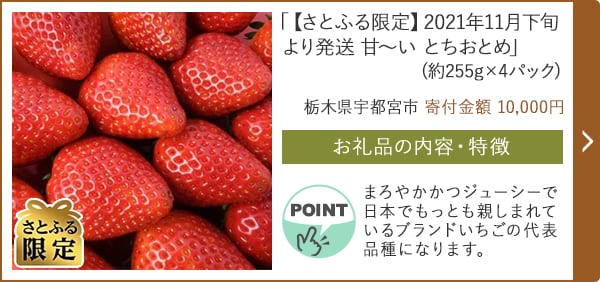 「【さとふる限定】2021年11月下旬より発送 甘〜い とちおとめ」(約255g×4パック)/栃木県宇都宮市（寄付金額 10,000円）