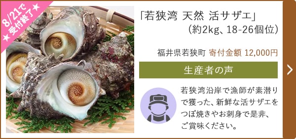 「若狭湾 天然 活サザエ」(約2kg、18-26個位)/福井県若狭町 寄付金額 12,000円