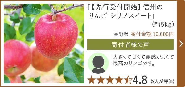 「【先行受付開始】信州のりんご シナノスイート」(約5kg)/長野県 寄付金額 10,000円