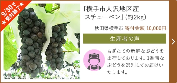 「横手市大沢地区産スチューベン」(約2kg)/長野県 寄付金額 10,000円