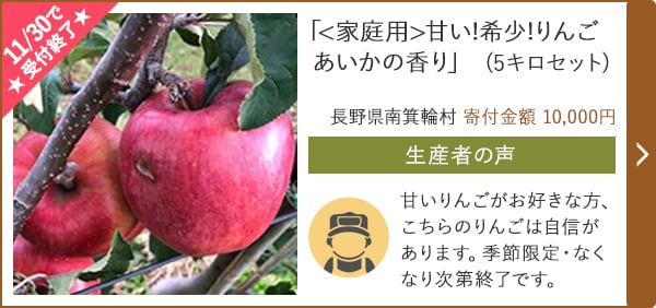 ★11/30で受付終了★「<家庭用>甘い!希少!りんご あいかの香り」(5キロセット)/長野県南箕輪村 寄付金額 10,000円