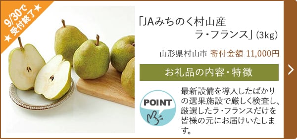 ★9/30で受付終了★「JAみちのく村山産 ラ・フランス」(3kg)/山形県村山市（寄付金額 11,000円）