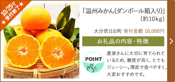 ★10/25で受付終了★「温州みかん(ダンボール箱入り)」(約10kg)/大分県日出町 寄付金額 10,000円