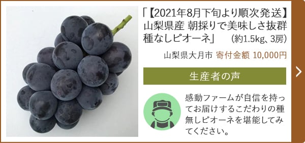 「【2021年8月下旬より順次発送】山梨県産 朝採りで美味しさ抜群 種なしピオーネ」(約1.5kg、3房)/山梨県大月市（寄付金額 10,000円）