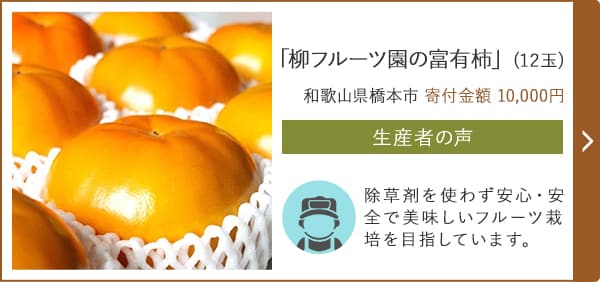 「柳フルーツ園の富有柿」(12玉)/和歌山県橋本市（寄付金額 10,000円）