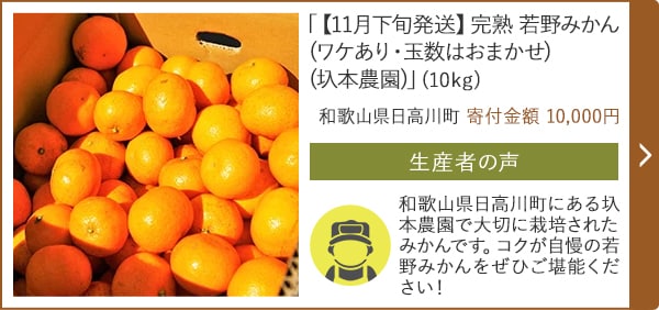 「【11月下旬発送】完熟 若野みかん(ワケあり・玉数はおまかせ)(圦本農園)」(10kg)/和歌山県日高川町（寄付金額 10,000円）