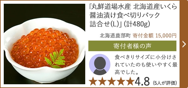 「丸鮮道場水産 北海道産いくら醤油漬け食べ切りパック詰合せ(L)」(計480g)/北海道鹿部町 寄付金額 15,000円