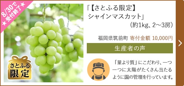 「【さとふる限定】シャインマスカット」(約1kg、2～3房)/福岡県筑前町 寄付金額 10,000円