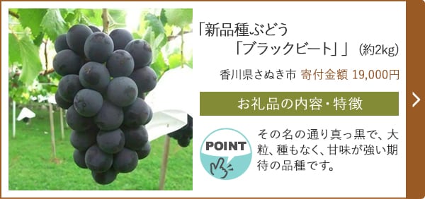 「新品種ぶどう「ブラックビート」」(約2kg)/香川県さぬき市（寄付金額 19,000円）