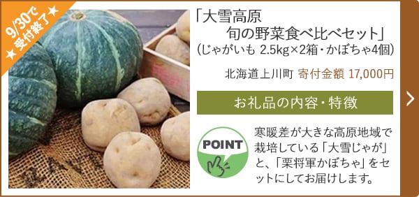 ★9/30で受付終了★「大雪高原旬の野菜食べ比べセット」(じゃがいも 2.5kg×2箱・かぼちゃ4個)/北海道上川町（寄付金額 17,000円）