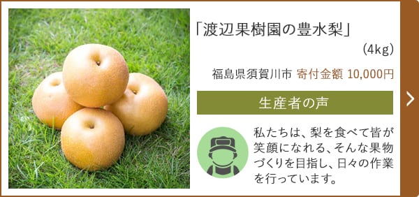 「渡辺果樹園の豊水梨」(4kg)/福島県須賀川市（寄付金額 10,000円）