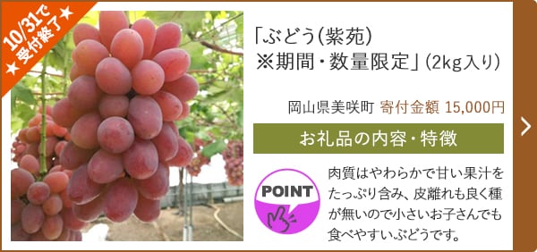 ★10/31で受付終了★「ぶどう(紫苑)※期間・数量限定」(2kg入り)/岡山県美咲町 寄付金額 15,000円