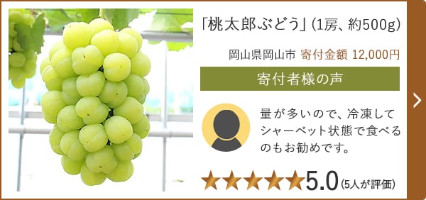 【★評価5.0(5人が評価)】「桃太郎ぶどう」(1房、約500g)/岡山県岡山市 寄付金額 12,000円