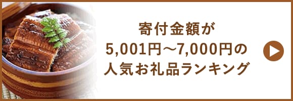 寄付金額が5,001円～7,000円の人気お礼品ランキング