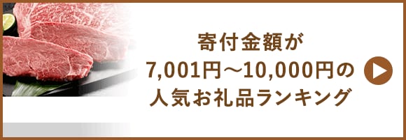 寄付金額が7,001円～10,000円の人気お礼品ランキング