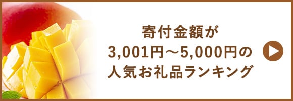 寄付金額が3,001円～5,000円の人気お礼品ランキング