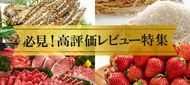 高評価レビュー特集