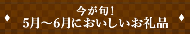 今が旬！《5月～6月においしいお礼品》