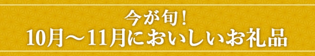 今が旬！《10月～11月においしいお礼品》