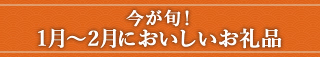 今が旬！《1月～2月においしいお礼品》