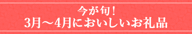 今が旬！《3月〜4月においしいお礼品》