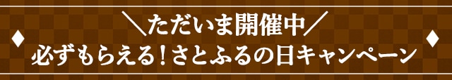 ＼ただいま開催中／必ずもらえる！さとふるの日キャンペーン