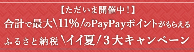【ただいま開催中】合計で最大＼11%／のPayPayポイントがもらえるふるさと納税＼イイ夏／３大キャンペーン