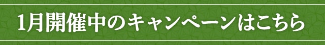 1月開催中のキャンペーンはこちら