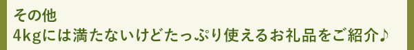その他 4kgには満たないけどたっぷり使えるお礼品をご紹介♪