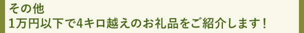 その他 1万円以下で4キロ越えのお礼品をご紹介します！