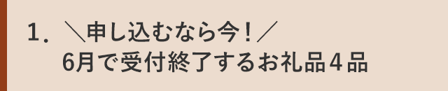＼申し込むなら今！／6月で受付終了するお礼品４品