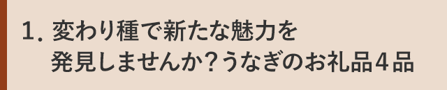 １．変わり種で新たな魅力を発見しませんか？うなぎのお礼品４品