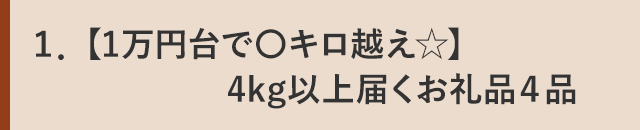 １．【1万円台で〇キロ越え☆】4kg以上届くお礼品４品