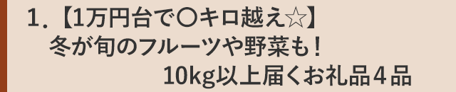 １．【1万円台で〇キロ越え☆】冬が旬のフルーツや野菜も！10kg以上届くお礼品４品