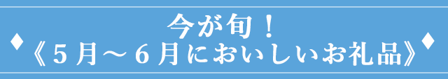 今が旬！《5月~6月においしいお礼品》