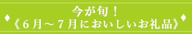 今が旬！《6月~7月においしいお礼品》