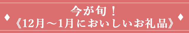 今が旬！《１２月〜１月においしいお礼品》