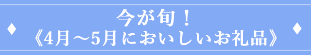 今が旬！《4月〜5月においしいお礼品》