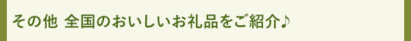 その他 全国のおいしいお礼品をご紹介♪