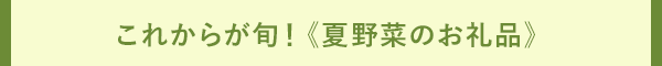 これからが旬！《夏野菜のお礼品》