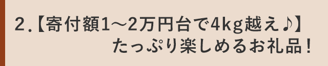 ２．【寄付額1～2万円台で4kg越え♪】たっぷり楽しめるお礼品！