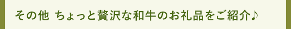 その他 全国のおいしいお礼品をご紹介♪